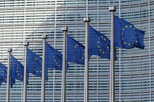 Les Européennes 2024 : Une Cible Considérable de Manipulations Étrangères en France?