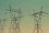 Comment faire des économies d'énergie dans votre maison de manière efficace?
